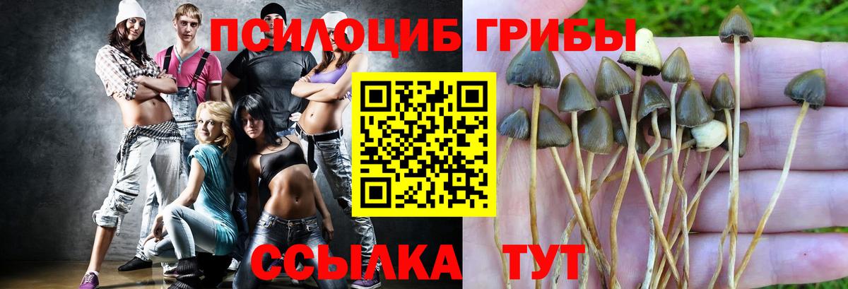 Галлюциногенные грибы Psilocybine cubensis  Псилоцибиновые грибы Cubensis  Вход с VPN  Зима 