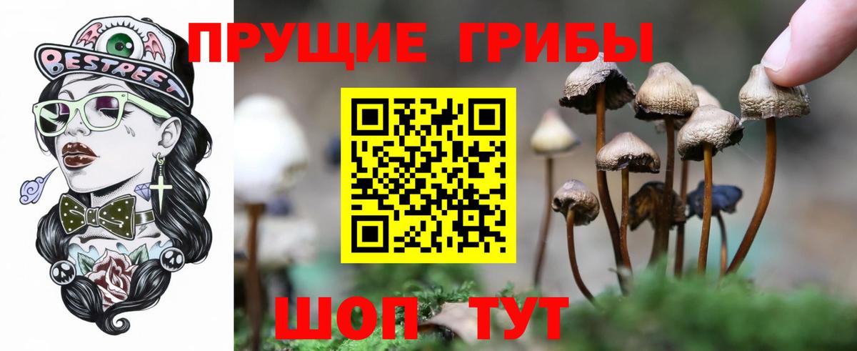 Галлюциногенные грибы мухоморы Зима